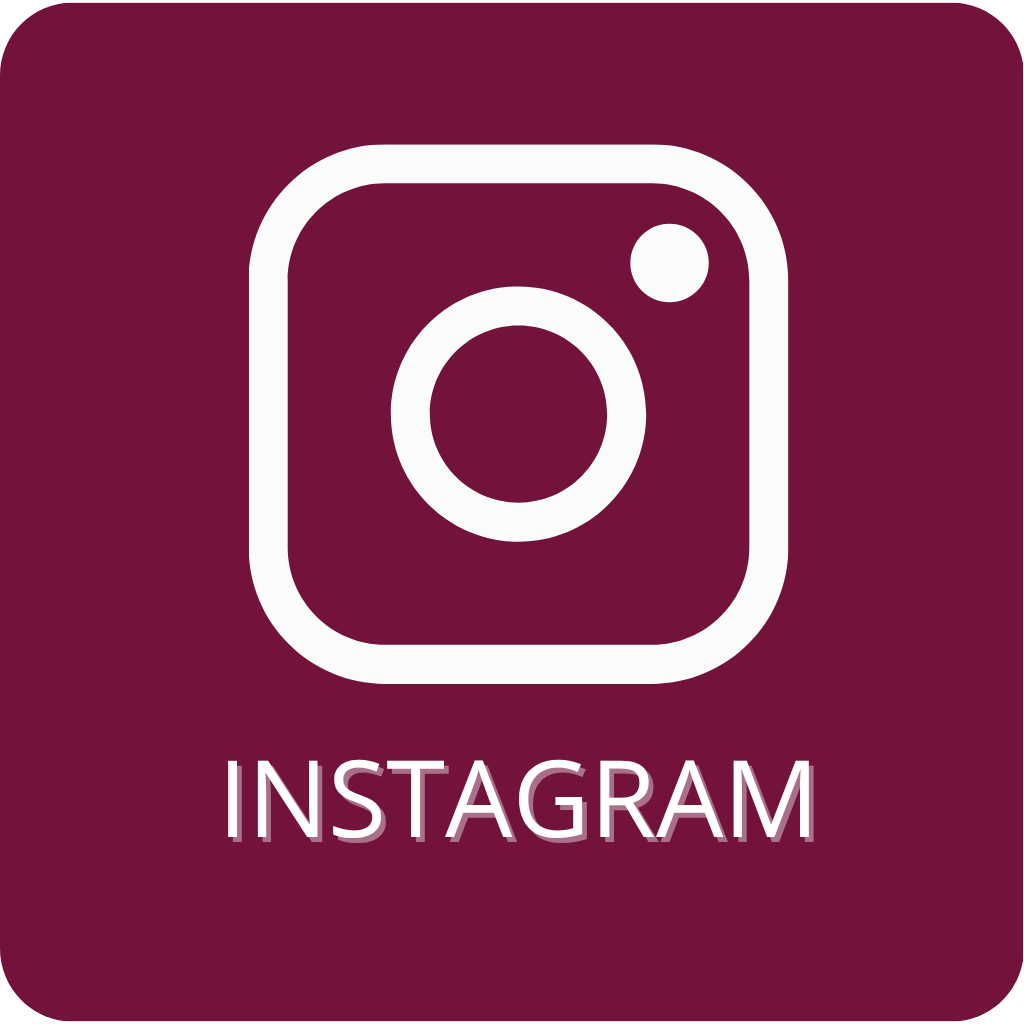 Siga-nos no Instagram